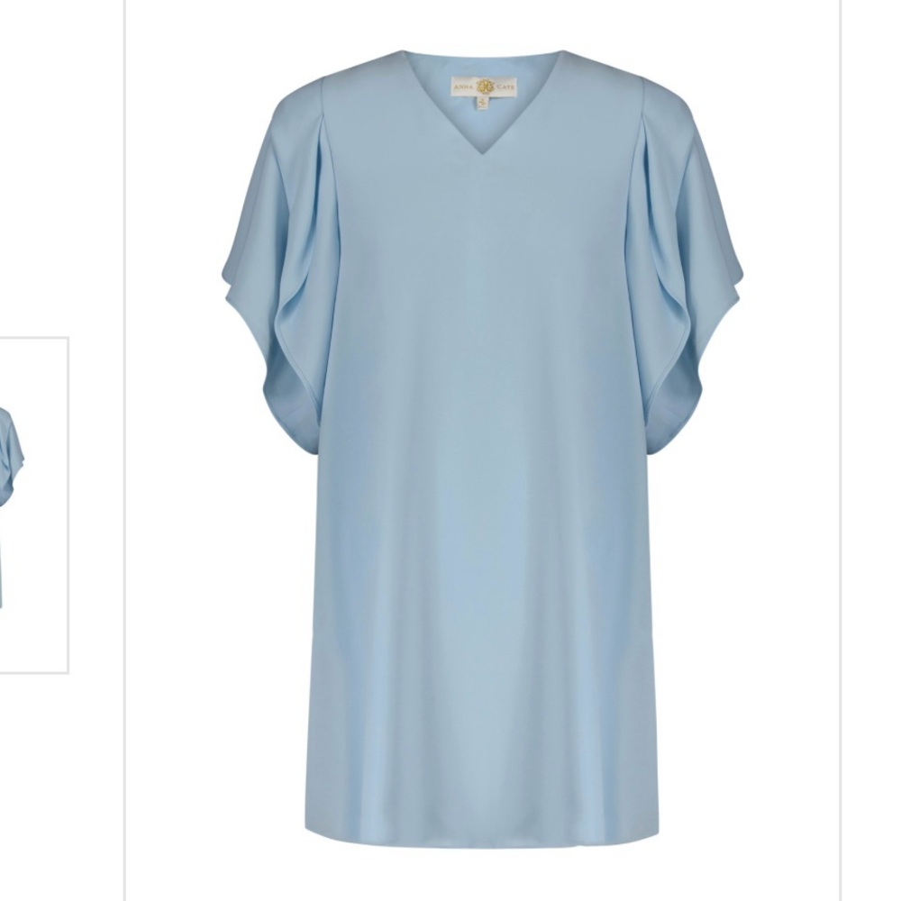Anna Cate Blaire Shift Dress Womans Sz LG Illusion Blue V Neck Flutter Sleeve